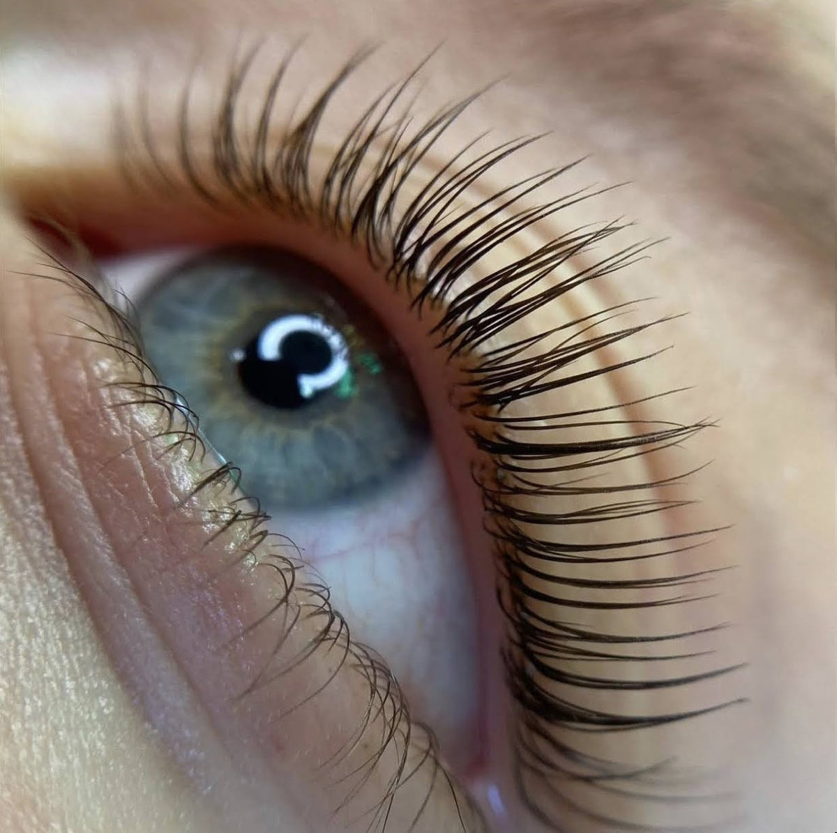 Curso Lifting PRO ( Pestañas & Cejas ) día 6 Abril 2024